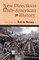 New Directions in Irish-American History