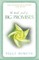 Little Book of Big Promises