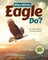 What Will the Eagle Do?