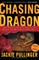 Chasing the Dragon
