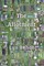 The Allotment