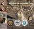 At Home with the Prairie Dog