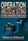 Operation Arctic Sting