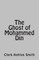 The Ghost of Mohammed Din