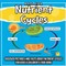 Nutrient Cycles