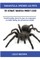 Tarantula Spiders As Pets