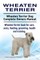 Wheaten Terrier. Wheaten Terrier Dog Complete Owners Manual. Wheaten Terrier book for care, costs, feeding, grooming, health and training.