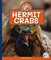 Hermit Crabs