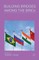 Building Bridges Among the Brics