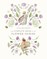 The Complete Book of the Flower Fairies
