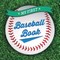 My First Baseball Book