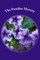 The Paradise Mystery