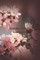 Scarlet Cherry Blossoms