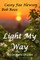 Light My Way