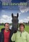 How Horses Help