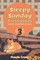 Sleepy Sunday Crosswords Volume 3