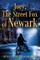 Joey, The Street Fox of Newark