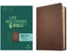 NLT Life Recovery Bible, Second Edition (Leatherlike, Rustic Brown)
