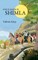 One Summer in Shimla