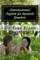 Conversational English for Spanish Speakers