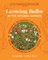 Growing Bulbs in the Natural Garden