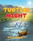 Turtles Might Fly