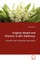 Virginia Woolf and Women in Mrs Dalloway