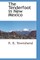 The Tenderfoot in New Mexico