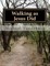 Walking as Jesus Did