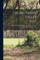 The Big Sandy Valley