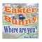 Easter Bunny, Where are you?