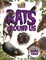 Rats Around Us