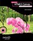 Foundation Html5 Canvas