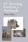 The Amazing Instinct of Animals