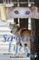 Sergei's Eyes