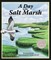 A Day in the Salt Marsh