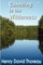 Canoeing in the Wilderness