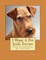 I Want A Pet Irish Terrier