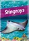 Stingrays