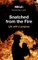 Snatched from the fire