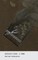 Miriam's Book