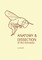 Anatomy and Dissection of the Honeybee