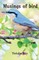 Musings of Bird