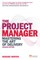 The Project Manager