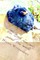 The little hen who saved the world