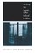 Writing the Image After Roland Barthes