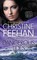 Feehan, C: Dangerous Tides