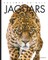 Jaguars