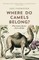 Where Do Camels Belong?