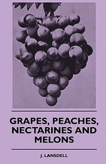 Grapes, Peaches, Nectarines And Melons Grapes, Peaches, Nectarines And Melons